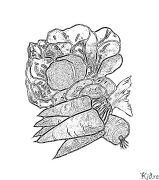 CAROTA Coloring Pages To Print